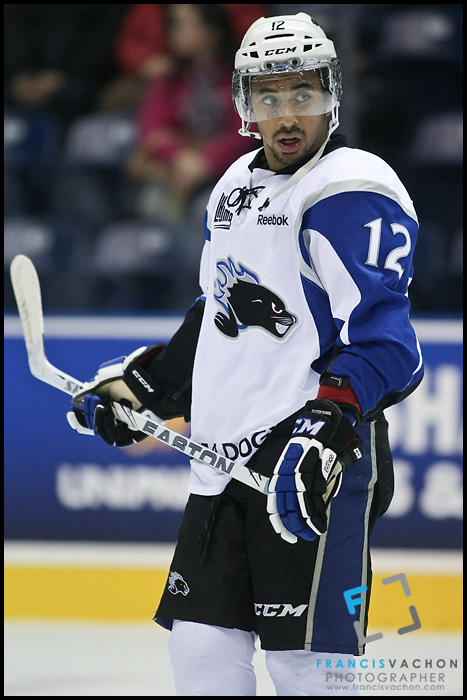 Devon Oliver-Dares, Saint John Sea Dogs Devon Oliver-Dares, Saint John Sea Dogs