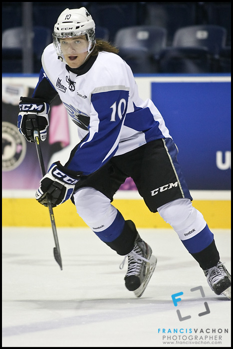 Marcus Cuomo, Saint John Sea Dogs Marcus Cuomo, Saint John Sea Dogs